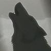wolf userpic