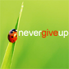 Ladybug: Never give up