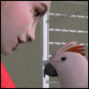 akihikio View all userpics