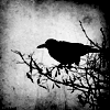 rise of sin ( the mod ) :