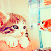 ramblekat View all userpics