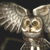 npc: owl