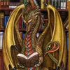 bookdragon01 userpic
