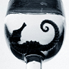 gostak View all userpics