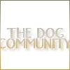 thedogcommunity View all userpics