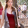 phoebe ❀